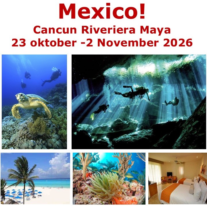 Mexico 2026