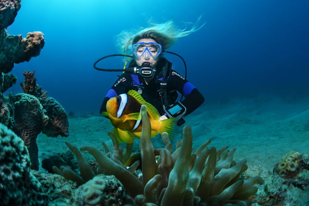 dive_image_19