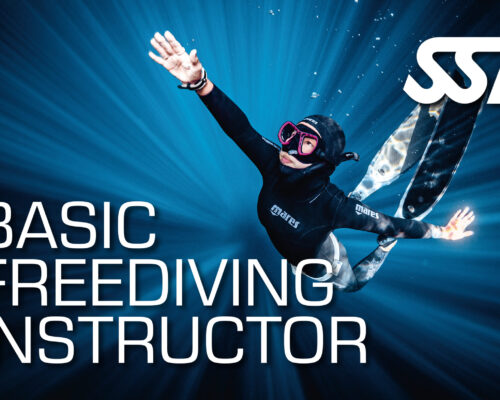 Basic Freediving Instructor