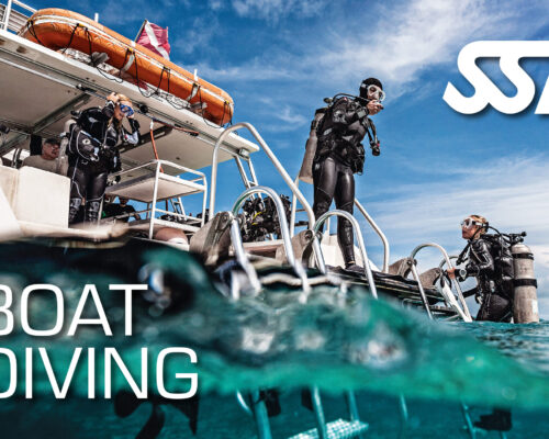 Boat Diving
