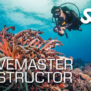 Divemaster Instructor