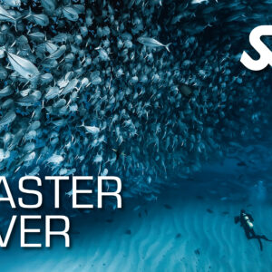 Master Diver