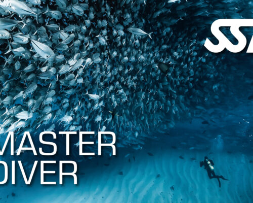 Master Diver