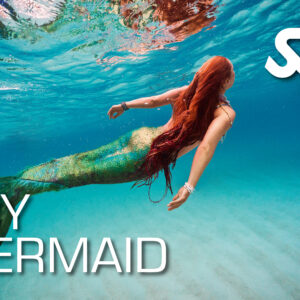 Mermaid Explorers