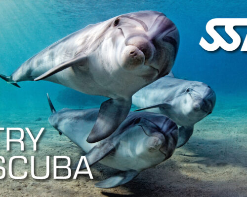 Try Scuba